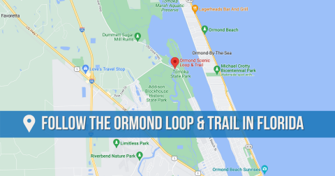 Follow The Ormond Loop & Trail Along This Scenic Drive Through Florida