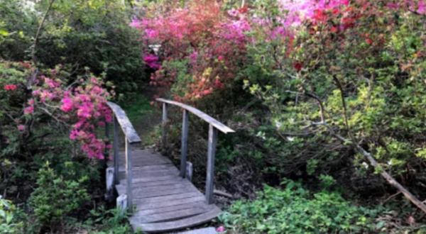 The One-Of-A-Kind Kinney Azalea Gardens In Rhode Island Is Absolutely Heaven On Earth