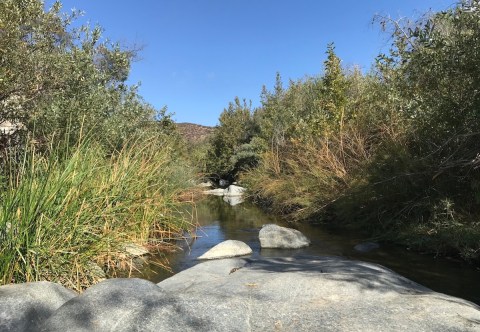 With Stream Crossings and Pools, The Peaceful Santa Margarita Preserve Trail In Southern California Is Unexpectedly Magical