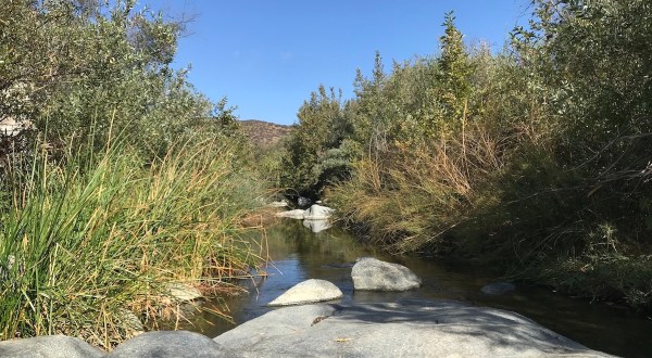 With Stream Crossings and Pools, The Peaceful Santa Margarita Preserve Trail In Southern California Is Unexpectedly Magical