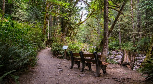 With Footbridges and Waterfalls, The Little-Known Wallace Falls Trail In Washington Is Unexpectedly Magical