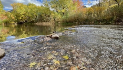The Clearest River In New Mexico, The Gila, Is Almost Too Beautiful To Be Real