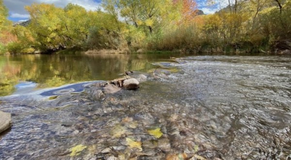 The Clearest River In New Mexico, The Gila, Is Almost Too Beautiful To Be Real