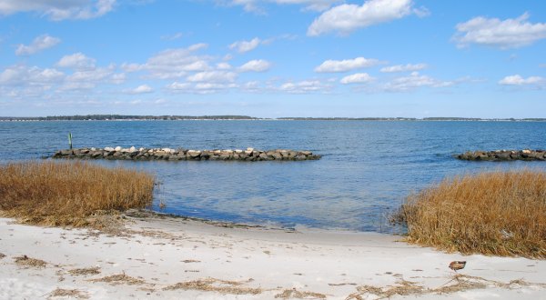 Here Are 5 Of The Most Refreshing Waterfront Trails You Can Take In Delaware
