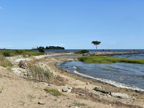 Hike Along The Majestic Coast At Silver Sands State Park In Connecticut