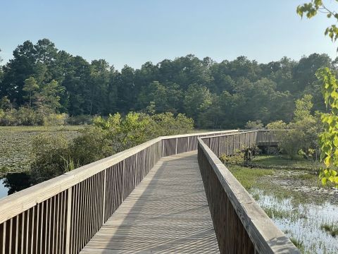 Hike Though Louisiana's Restoration Park, Then Dine At Belle's Ole South Diner