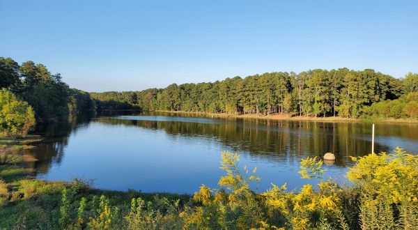 Meander Along A Lake Along the 2-Mile Heath Lake Loop In Georgia For An Unforgettable Outdoor Adventure