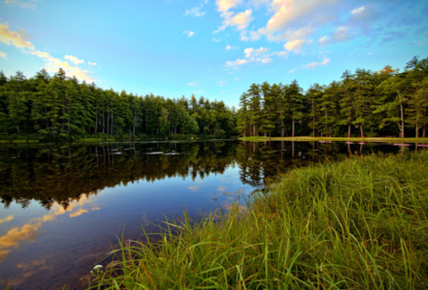 This State Park In Massachusetts Is So Little Known, You'll Practically Have It All To Yourself