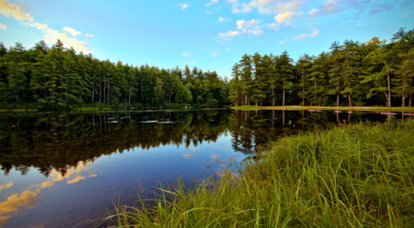 This State Park In Massachusetts Is So Little Known, You’ll Practically Have It All To Yourself