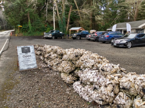 Get Fresh-From-The-Sea Oysters By The Dozen At This Ramshackle Sea Shack In Tillamook, Oregon