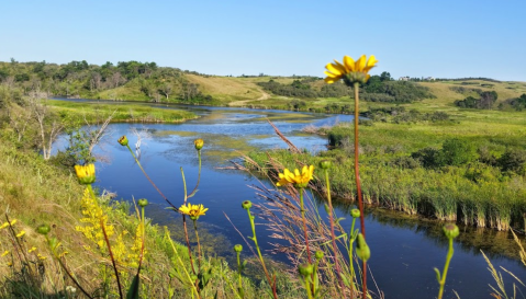 Here Are 5 Of The Most Refreshing Waterfront Trails You Can Take In North Dakota