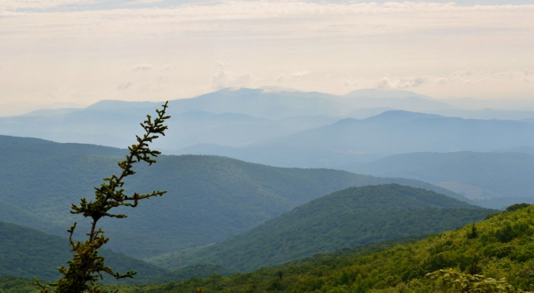 You’ll See Layers Upon Layers Of Mountain Views On This Scenic 2-Mile Loop in Virginia