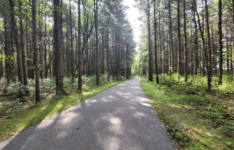 Take A Paved Loop Trail Through The Woods For A Peaceful Ohio Adventure