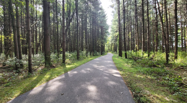 Take A Paved Loop Trail Through The Woods For A Peaceful Ohio Adventure