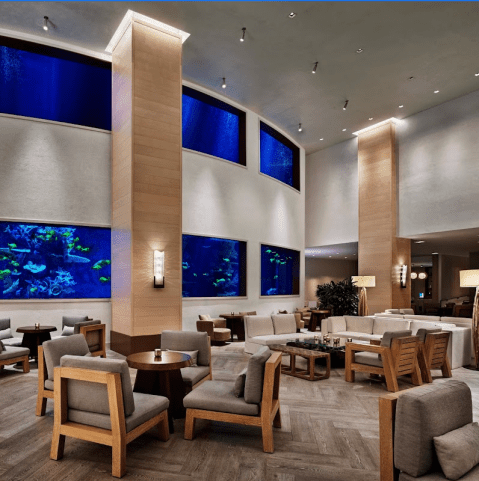 Dine With The Fishes At This One-Of-A-Kind Aquarium Bar In Hawaii