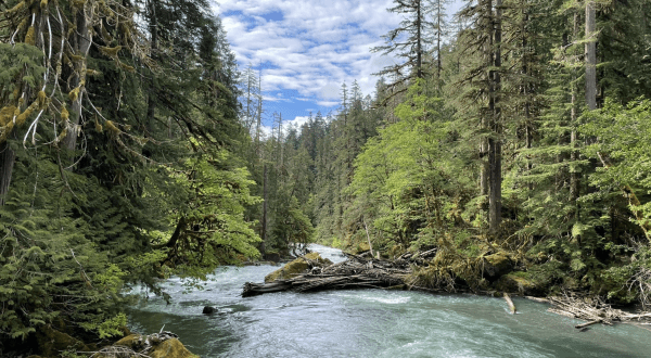 Cross A Paved Bridge Into Absolute Paradise On The Staircase Rapids Loop In Washington’s Olympic National Park