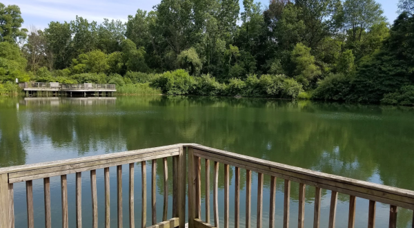 Hike To An Emerald Pond On This Easy Trail Near Detroit