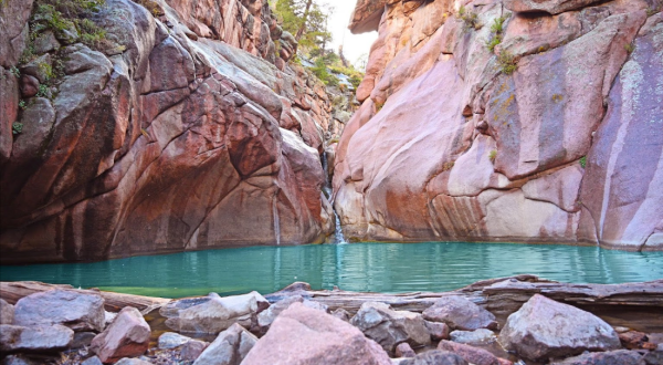 Make A Splash This Season At Paradise Cove, A Truly Unique Swimming Hole In Colorado