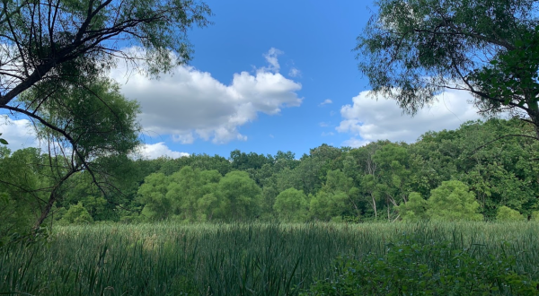 This Nature Preserve Near Detroit Is So Hidden You’ll Probably Have It All To Yourself