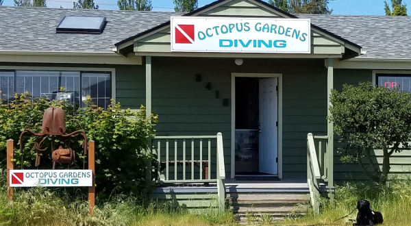 Octopus Gardens Is A Scuba Shop Hiding In Washington That’s Perfect For Your Next Adventure