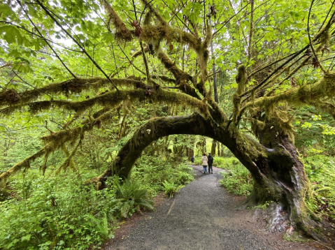 The One-Of-A-Kind Trail In Washington Is Absolutely Heaven On Earth