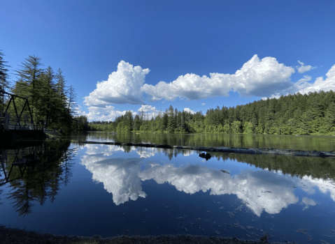Take An Easy Loop Trail Around This Clark County Lake In Washington For A Peaceful Adventure