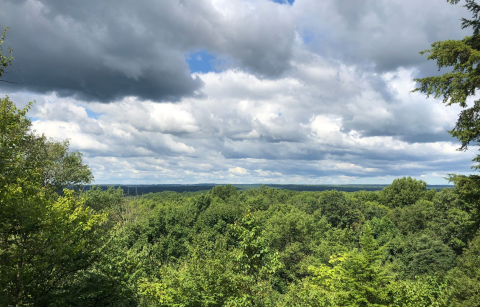 Hike Into The Clouds On The Ledges Trail In Ohio's Cuyahoga Valley