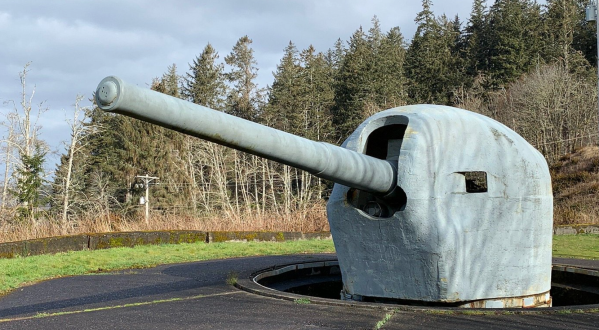 You Can See 3 Historic Artillery Batteries At This State Park In Chinook, Washington