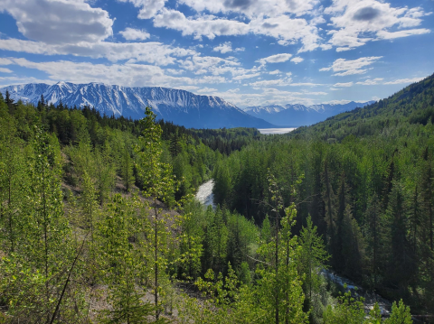 A Short But Beautiful Hike, Bird Creek Falls Leads To A Little-Known Waterfall In Alaska