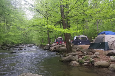 Private & Secluded Camping in Virginia: 7 Remote Campgrounds