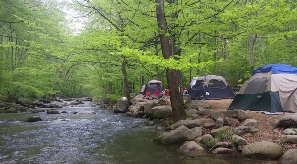 5 Secluded Virginia Campgrounds That Are Great For A Relaxing Getaway