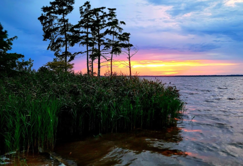 Experience Never-Ending Summer When You Escape To This Coastal Campground In Virginia