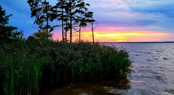 Experience Never-Ending Summer When You Escape To This Coastal Campground In Virginia