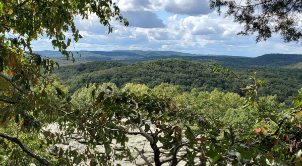 Indian Point Trail Is A Gorgeous Forest Trail In Illinois That Will Take You To A Hidden Overlook
