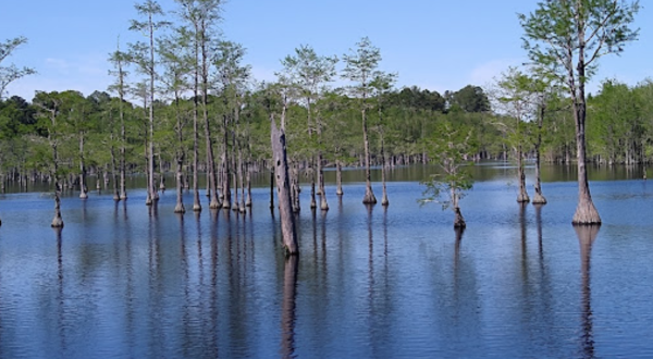This State Park In Georgia Is So Little Known, You’ll Practically Have It All To Yourself
