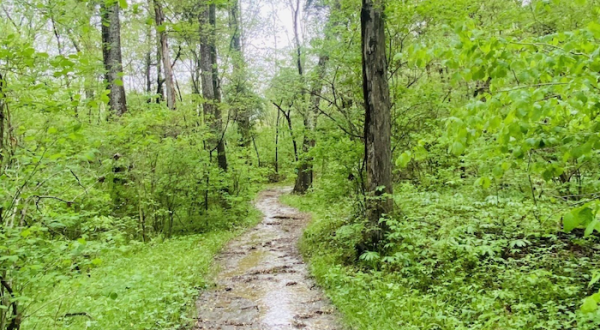 If There Are Only 3 Family Hikes You Ever Take In Indiana, Follow These Easy Trails