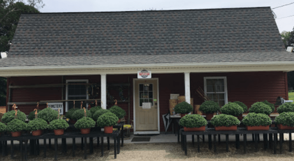Your Entire Family Will Love A Visit To This Charming Farm Store Hiding In Connecticut