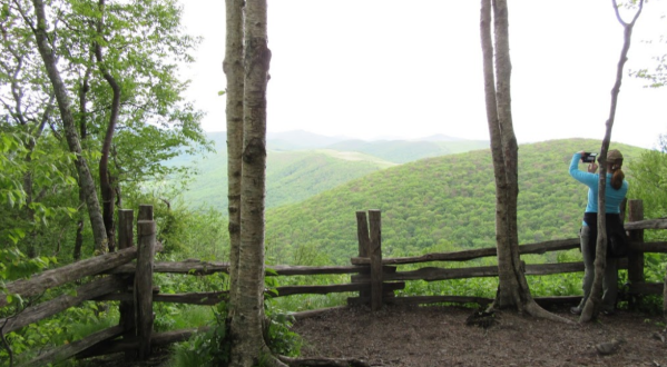 Explore North Carolina’s Blue Ridge Mountains At This Underrated State Park