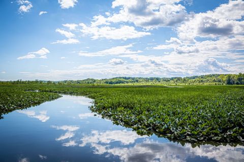 If There Are Only 3 Family Hikes You Ever Take In Maryland, Follow These Easy Trails