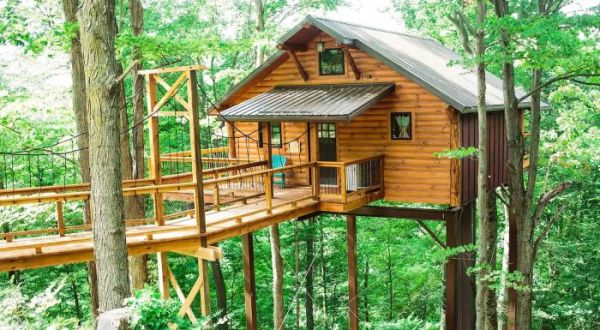 3 Little-Known Treehouses Hiding In Ohio That Will Bring Out Your Sense Of Adventure