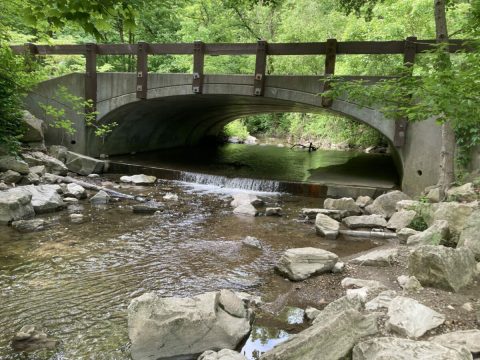 With Stream Crossings and Footpaths, The Little-Known Lawrence Creek Trail In Indiana Is Unexpectedly Magical