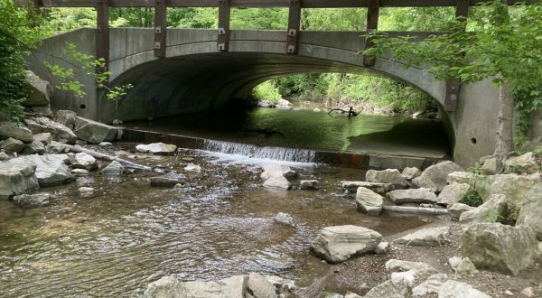 With Stream Crossings and Footpaths, The Little-Known Lawrence Creek Trail In Indiana Is Unexpectedly Magical