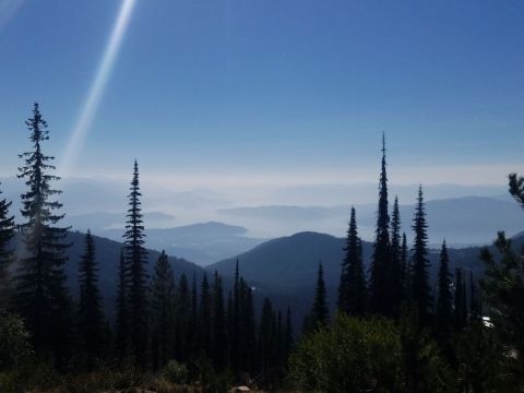 Hike Into The Clouds On The Schweitzer Nature Trail In Northern Idaho