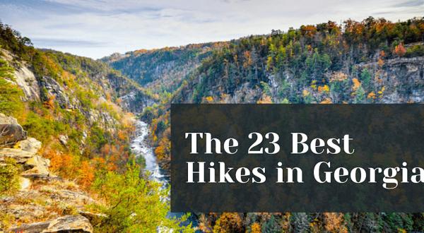 23 Best Hikes in Georgia: The Top-Rated Hiking Trails to Visit in 2024