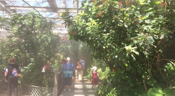 One Of The Largest Butterfly Conservatories In The U.S. Is In Colorado, And It’s Magical