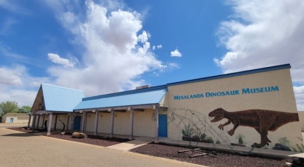 The Largest Collection Of Full-Scale Bronze Dinosaur Skeletons In The U.S. Is In New Mexico, And It’s Magical