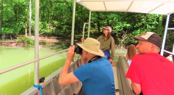 Take A Nature Cruise On This One-Of-A-Kind Scenic Boat Tour In Arkansas