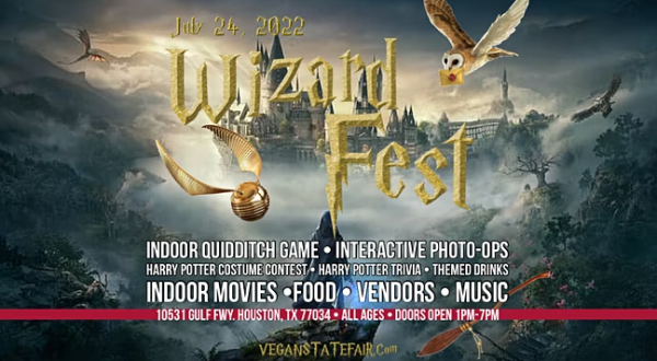 A Harry Potter Festival With Indoor Quidditch Is Flying Into Texas This Summer