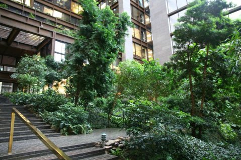 Few People Know There’s A Secret Indoor Rainforest Hidden In An Office Building In New York