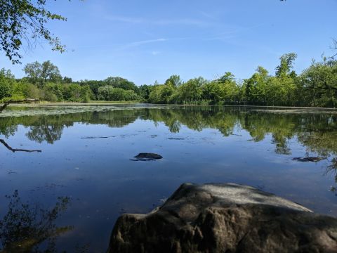 Take A Paved Loop Trail Around This Massachusetts Pond For A Peaceful Adventure